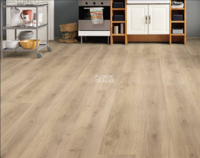 Haro Tritty 100 Gran Via 4V ДУБ ЭМИЛИЯ ПУРО 538769 фото 3 | FLOORDEALER